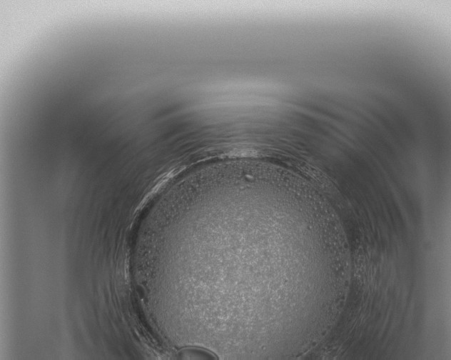 X0000059820347200510281737