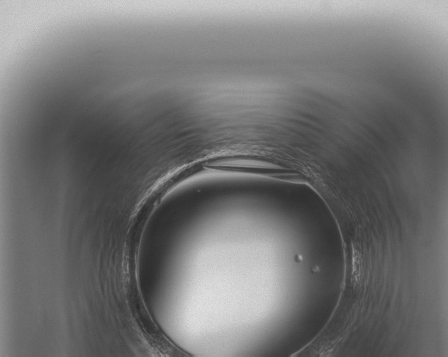 X0000059820348200510281737