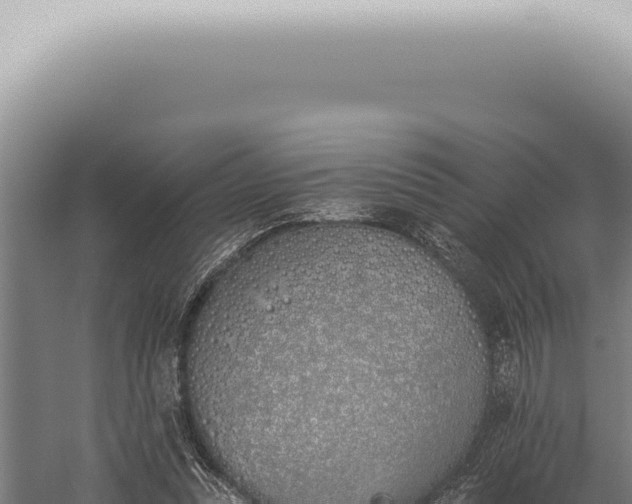 X0000059820351200510281737