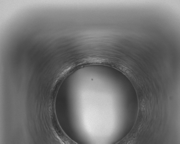 X0000059820352200510281737