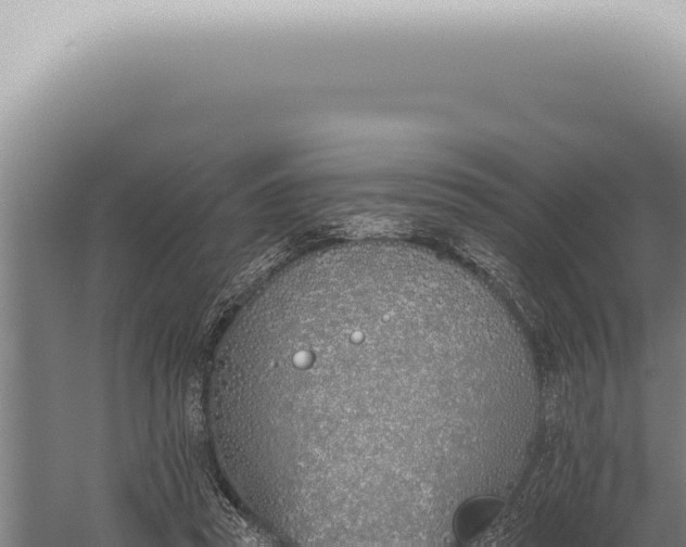 X0000059820353200510281737