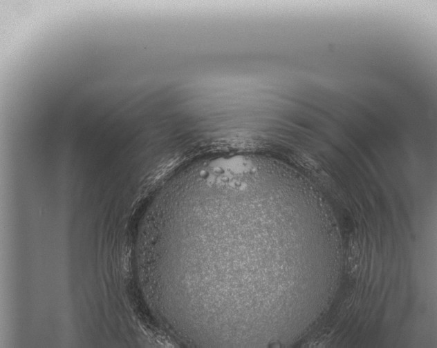 X0000059820355200510281737