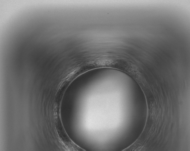 X0000059820356200510281737