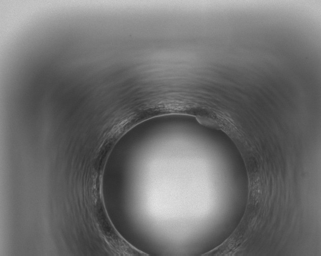 X0000059820360200510281737