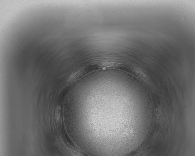 X0000059820361200510281737