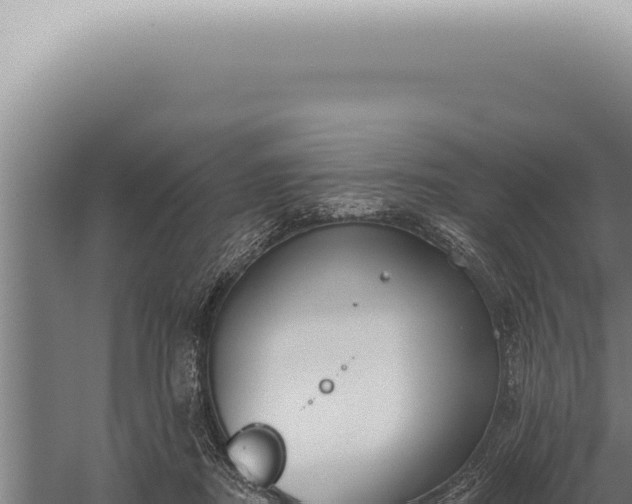 X0000059820362200510281737