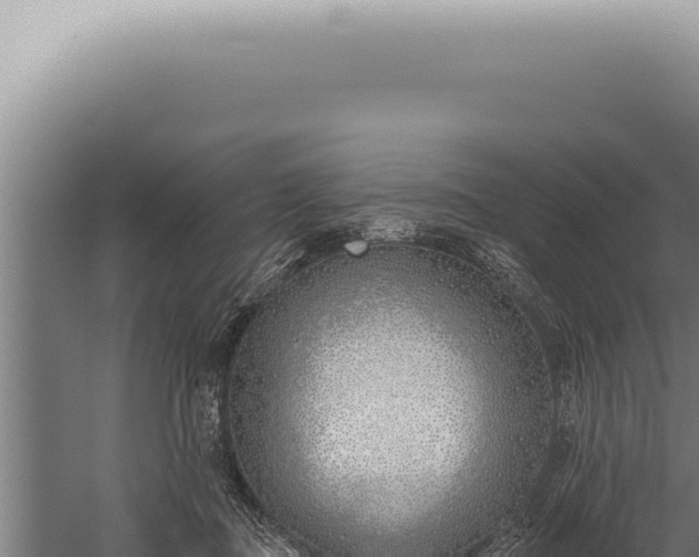 X0000059820363200510281738