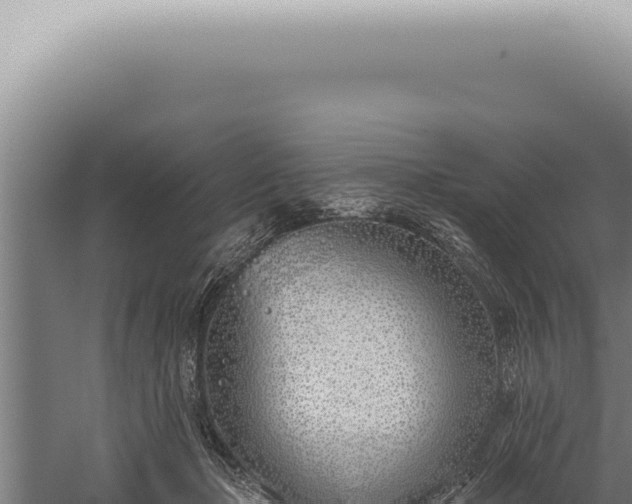 X0000059820365200510281738