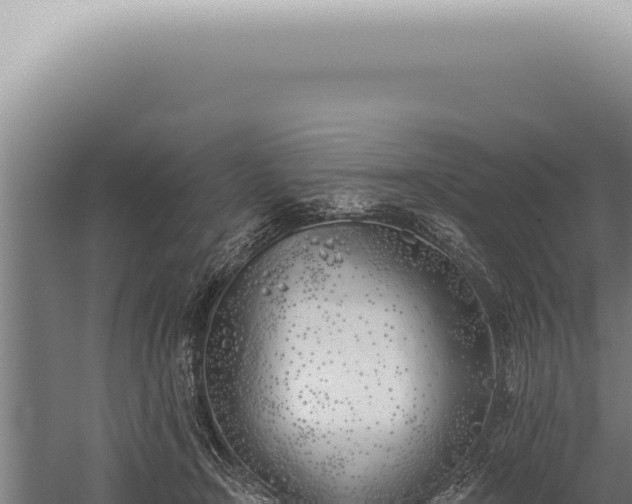 X0000059820366200510281738