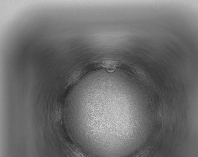 X0000059820367200510281738