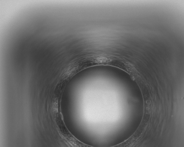 X0000059820368200510281738