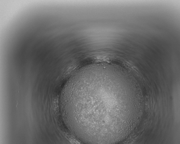 X0000059820369200510281738