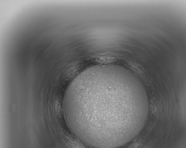 X0000059820371200510281738