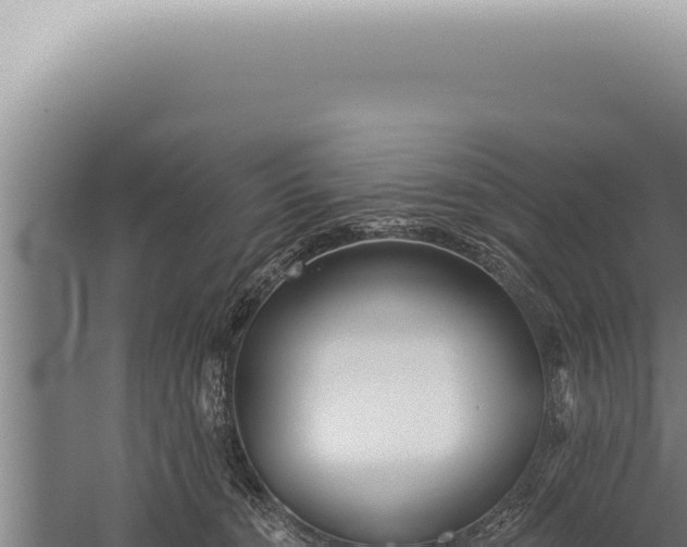 X0000059820372200510281738