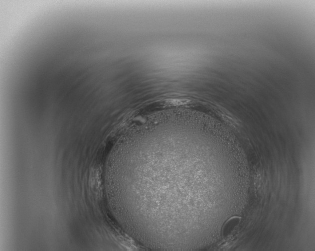 X0000059820373200510281738