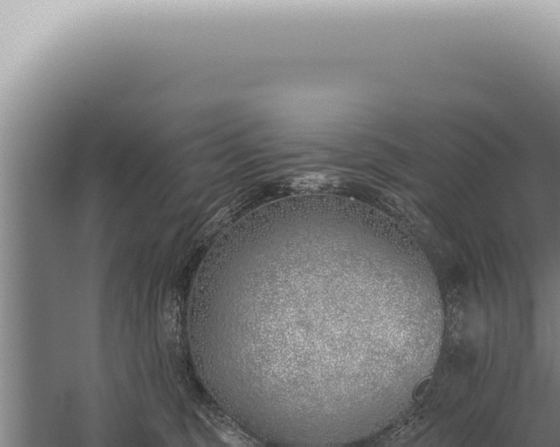 X0000059820375200510281738