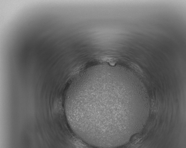 X0000059820377200510281738