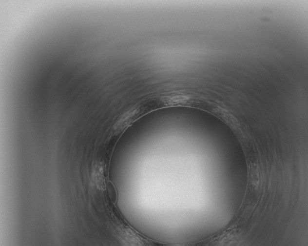 X0000059820378200510281738