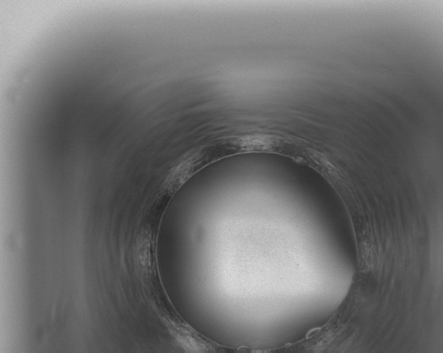 X0000059820379200510281738