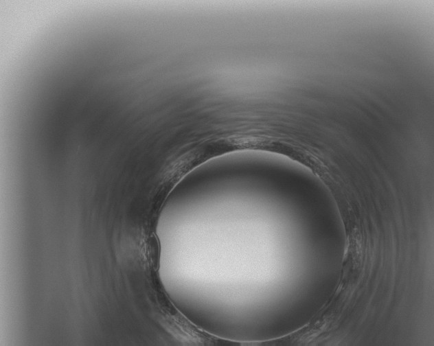 X0000059820380200510281738