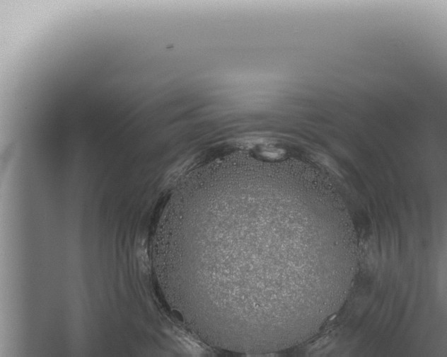 X0000059820381200510281738