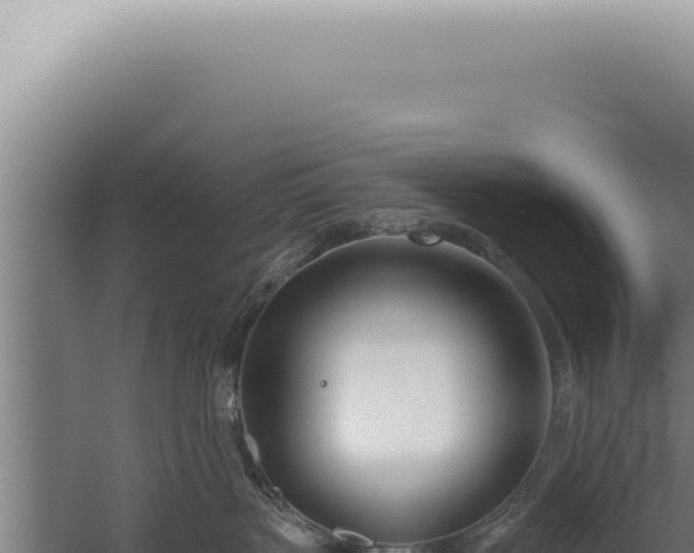 X0000059820383200510281738