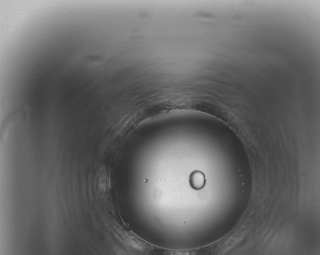 X0000059820384200510281738