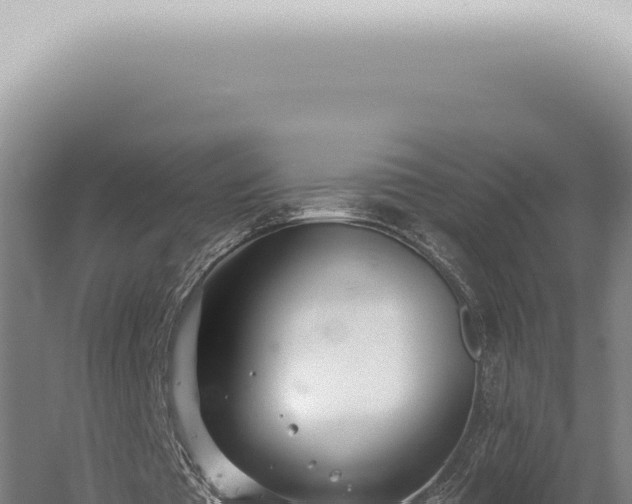 X0000059820385200510281737