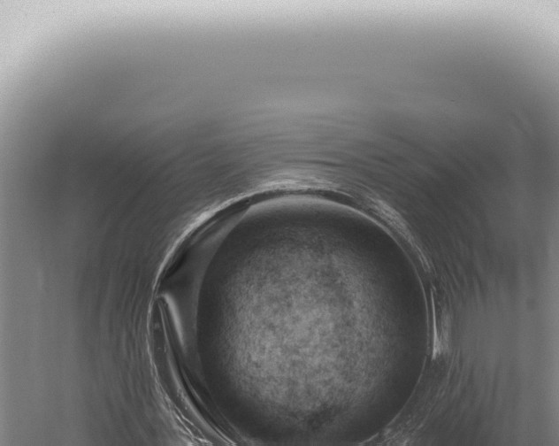 X0000059820387200510281737