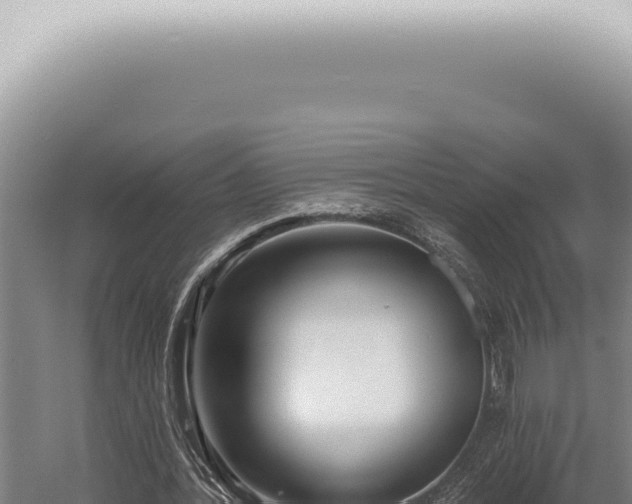 X0000059820388200510281737