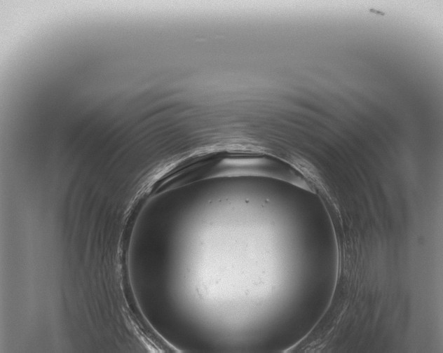 X0000059820389200510281737