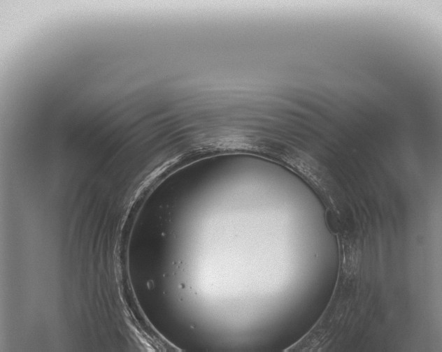 X0000059820390200510281737