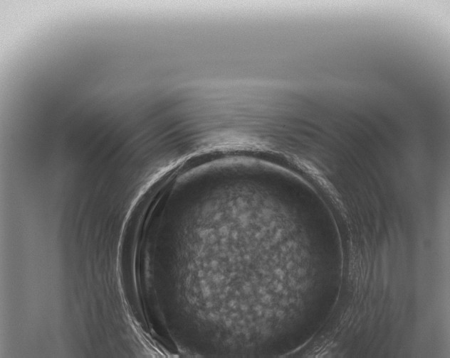 X0000059820391200510281737