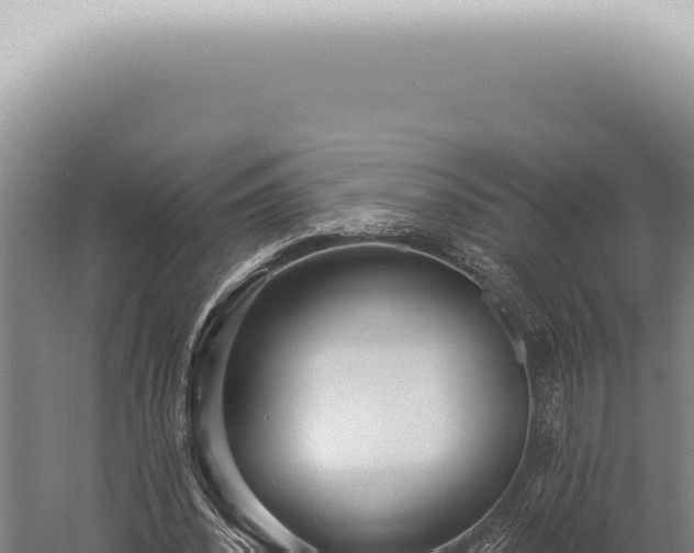 X0000059820392200510281737