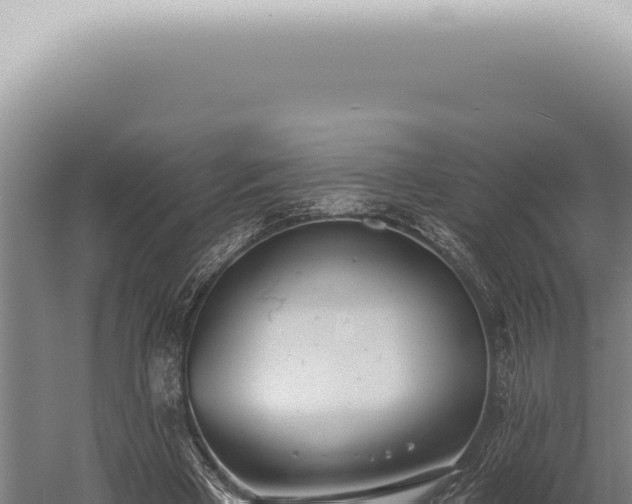 X0000059820393200510281737