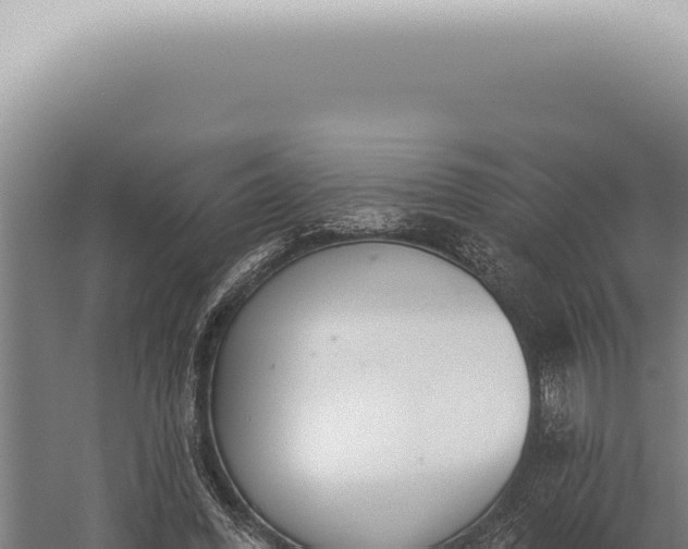 X0000059820396200510281737