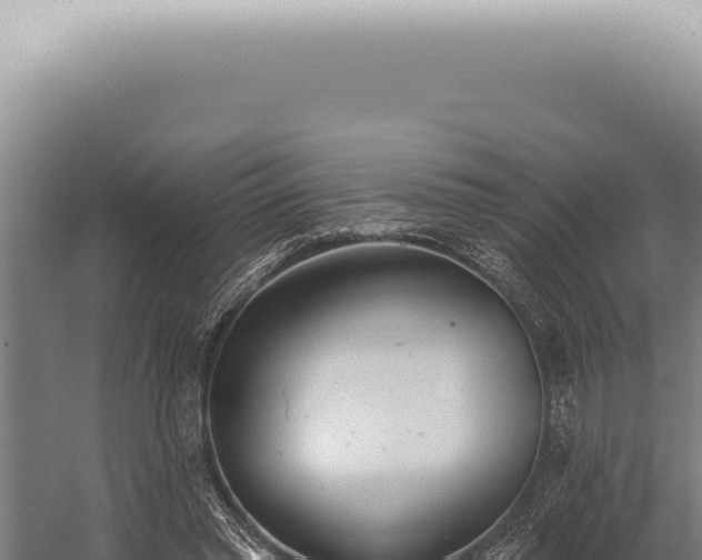 X0000059820397200510281737