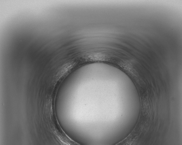 X0000059820398200510281737