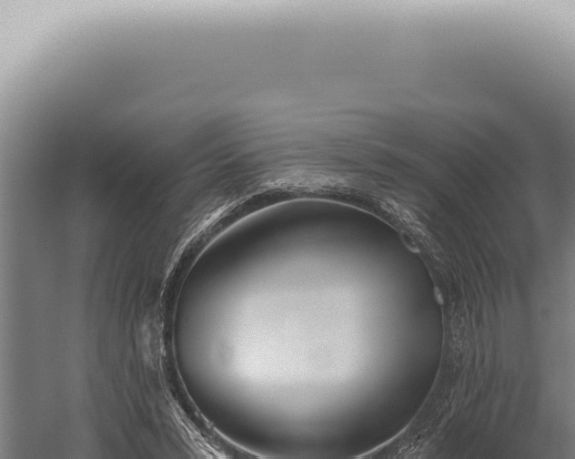 X0000059820399200510281737