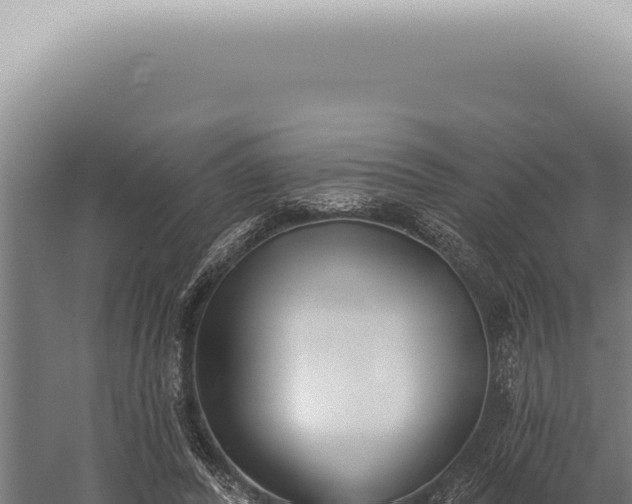 X0000059820400200510281737