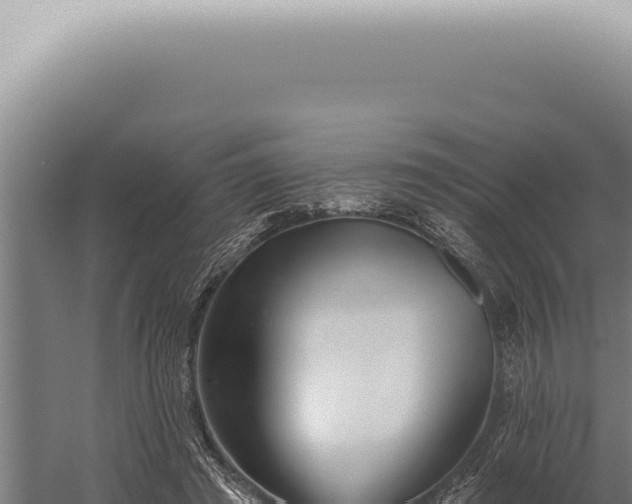 X0000059820401200510281737