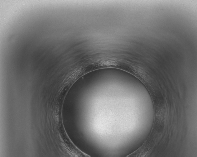 X0000059820402200510281737