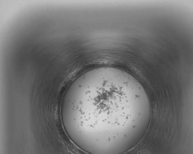 X0000059820403200510281737