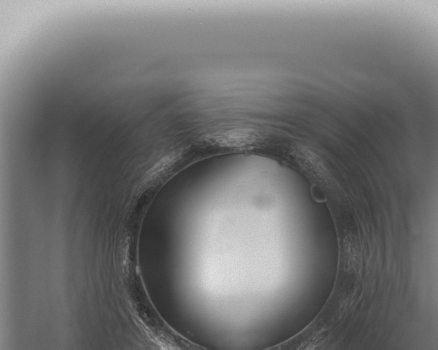 X0000059820404200510281737