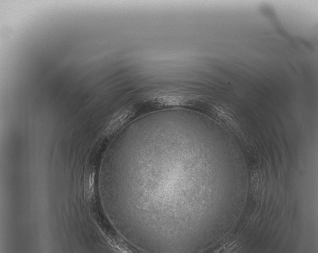 X0000059820406200510281737