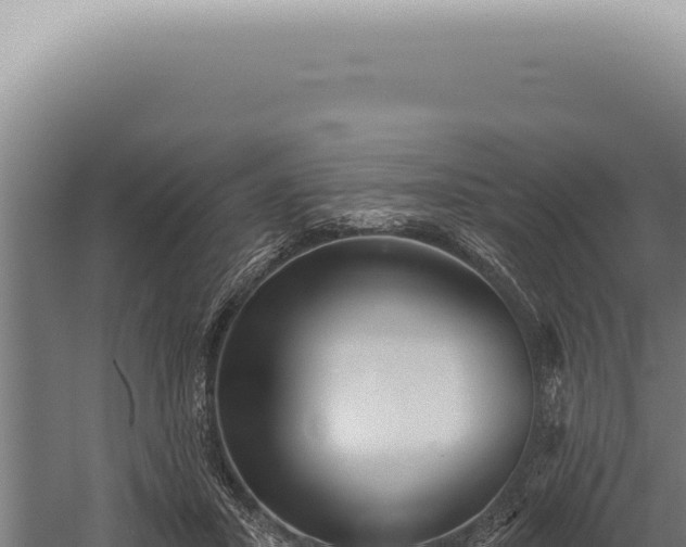 X0000059820407200510281737