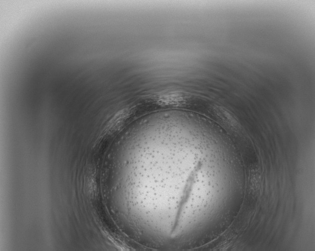 X0000059820408200510281737