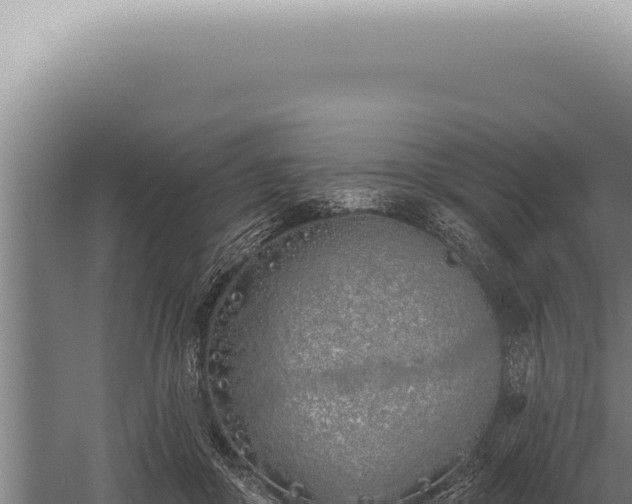 X0000059820410200510281737