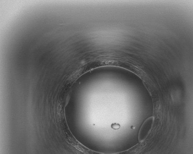 X0000059820417200510281737