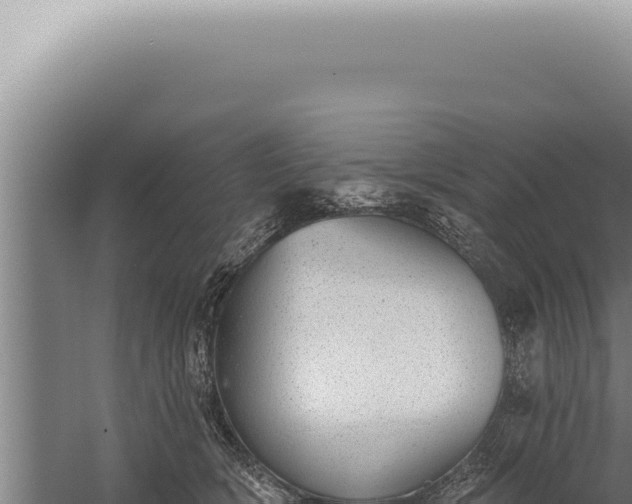 X0000059820418200510281736